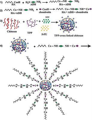 Chitosan-based biomaterial delivery strategies for hepatocellular carcinoma